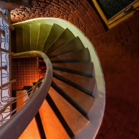 Hotel White Bolshoi 3*