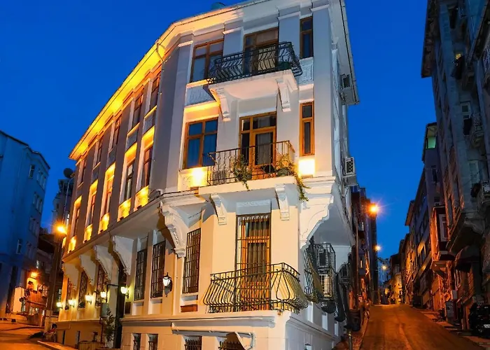 酒店 White Bolshoi 3*